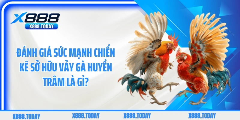 Đánh giá sức mạnh chiến kê sở hữu vảy gà Huyền Trâm là gì?