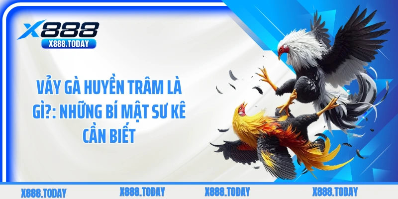 Vảy gà Huyền Trâm là gì