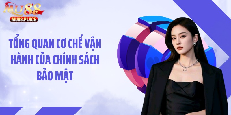 Tổng quan cơ chế vận hành của chính sách bảo mật